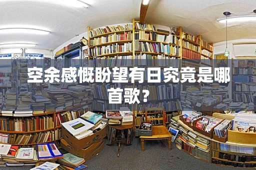 空余感慨盼望有日究竟是哪首歌？