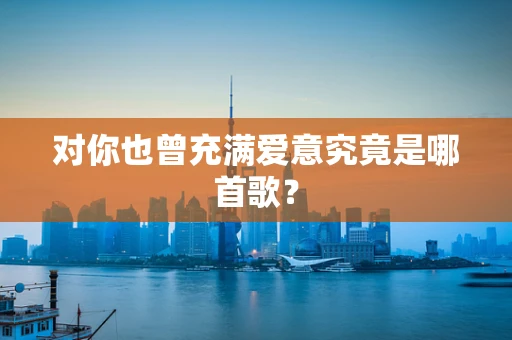 对你也曾充满爱意究竟是哪首歌？