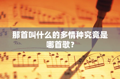 那首叫什么的多情种究竟是哪首歌？