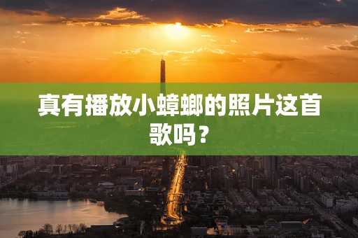 真有播放小蟑螂的照片这首歌吗？