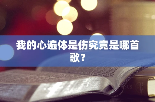 我的心遍体是伤究竟是哪首歌？