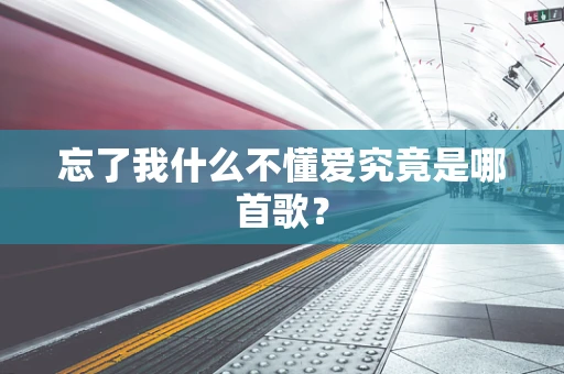 忘了我什么不懂爱究竟是哪首歌？