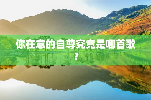 你在意的自尊究竟是哪首歌？
