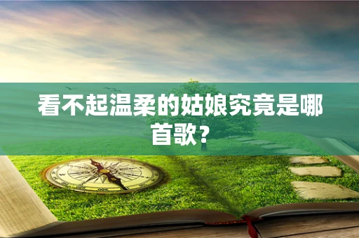 看不起温柔的姑娘究竟是哪首歌？