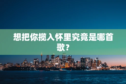 想把你揽入怀里究竟是哪首歌？