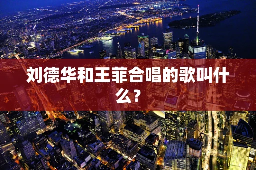 刘德华和王菲合唱的歌叫什么？