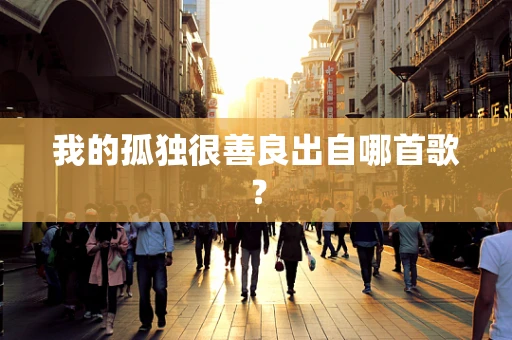 我的孤独很善良出自哪首歌？
