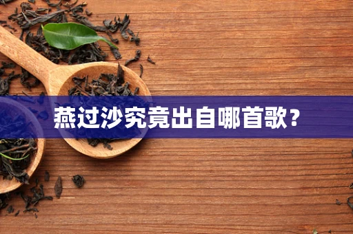 燕过沙究竟出自哪首歌？