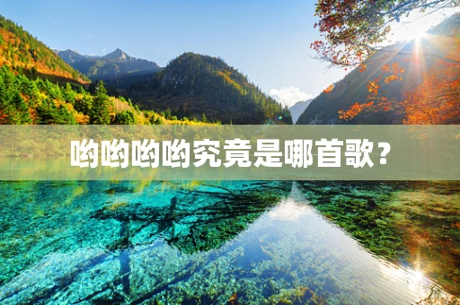 哟哟哟哟究竟是哪首歌？