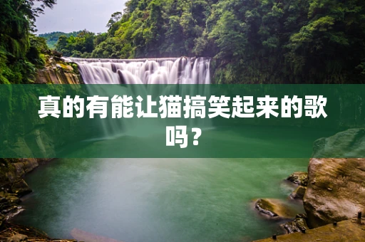 真的有能让猫搞笑起来的歌吗？