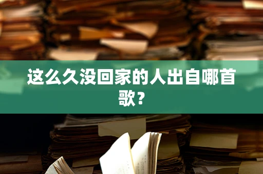 这么久没回家的人出自哪首歌？