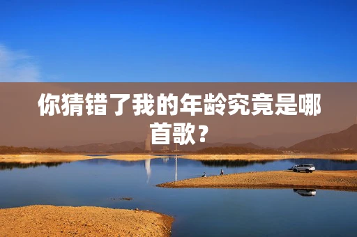 你猜错了我的年龄究竟是哪首歌？
