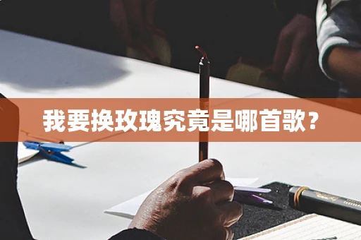 我要换玫瑰究竟是哪首歌？