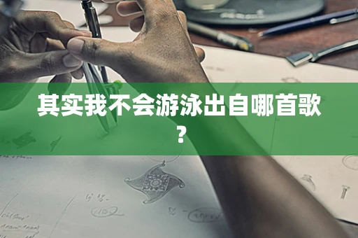 其实我不会游泳出自哪首歌？
