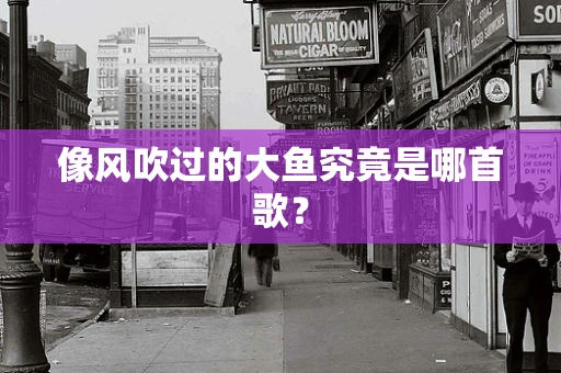 像风吹过的大鱼究竟是哪首歌？