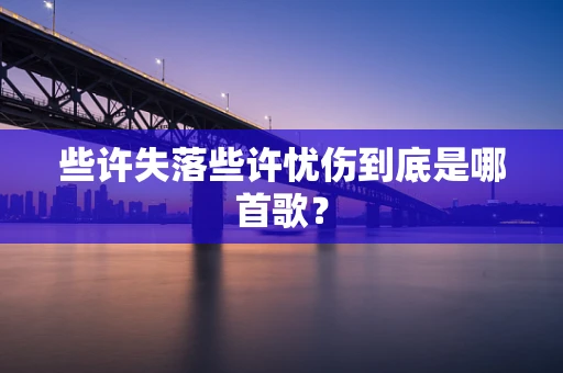 些许失落些许忧伤到底是哪首歌？