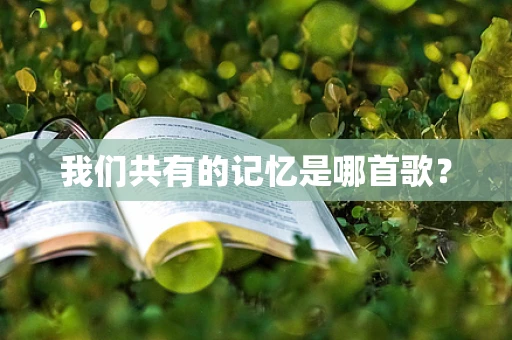我们共有的记忆是哪首歌？