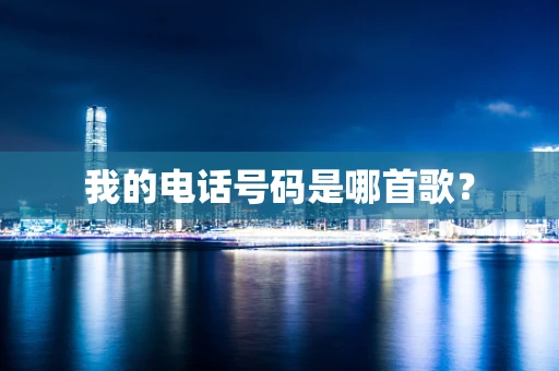 我的电话号码是哪首歌？