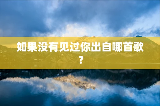 如果没有见过你出自哪首歌？