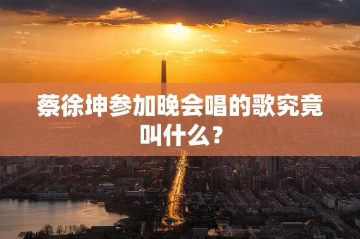 蔡徐坤参加晚会唱的歌究竟叫什么？
