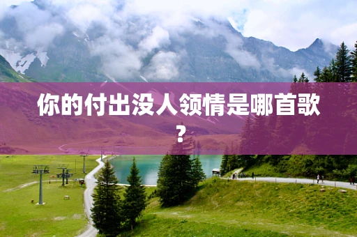 你的付出没人领情是哪首歌？