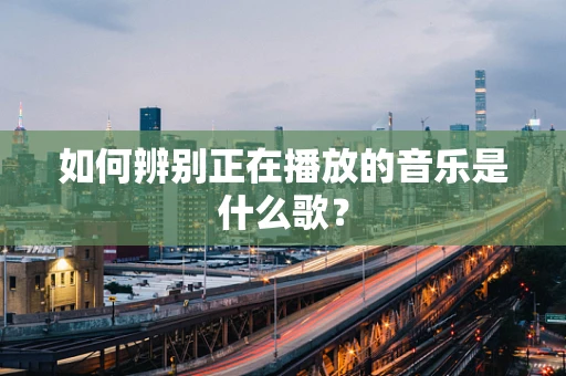如何辨别正在播放的音乐是什么歌？