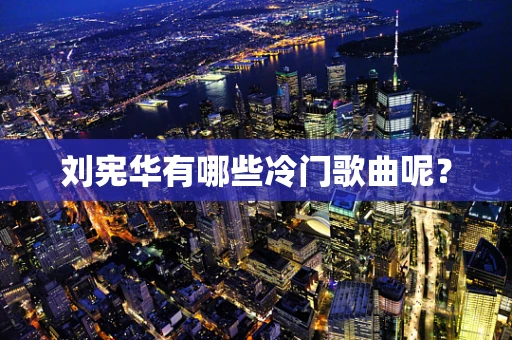 刘宪华有哪些冷门歌曲呢？