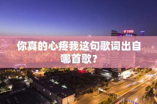 你真的心疼我这句歌词出自哪首歌？