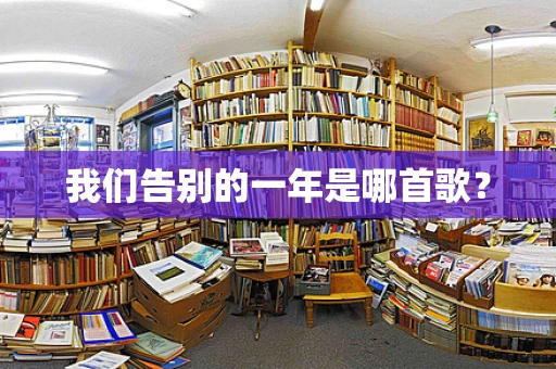 我们告别的一年是哪首歌？