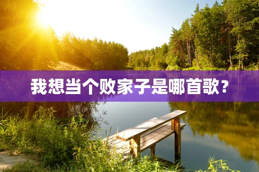 我想当个败家子是哪首歌？