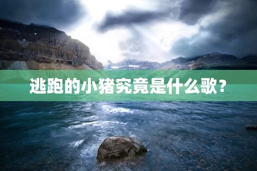 逃跑的小猪究竟是什么歌？