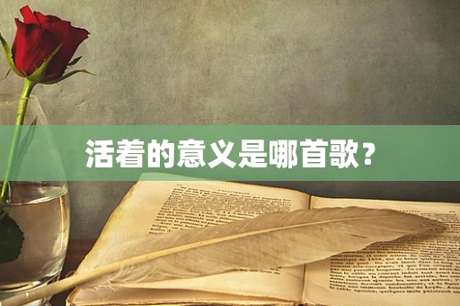 活着的意义是哪首歌？