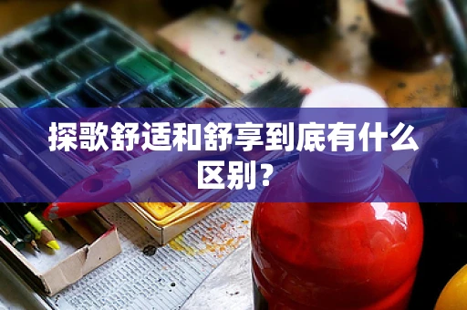 探歌舒适和舒享到底有什么区别？