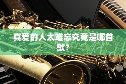 真爱的人太难忘究竟是哪首歌？