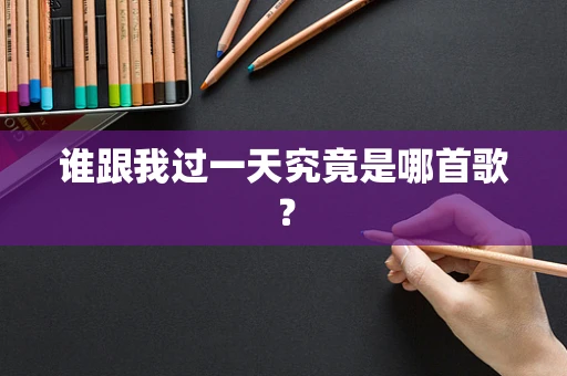 谁跟我过一天究竟是哪首歌？