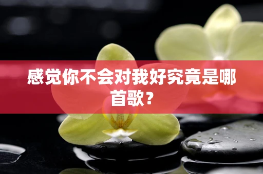 感觉你不会对我好究竟是哪首歌？