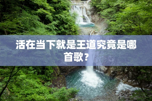 活在当下就是王道究竟是哪首歌？