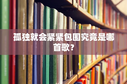 孤独就会紧紧包围究竟是哪首歌？