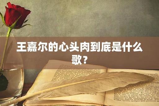 王嘉尔的心头肉到底是什么歌？