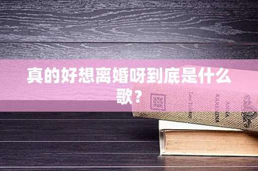 真的好想离婚呀到底是什么歌？