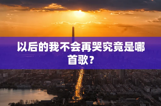 以后的我不会再哭究竟是哪首歌？
