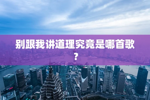 别跟我讲道理究竟是哪首歌？