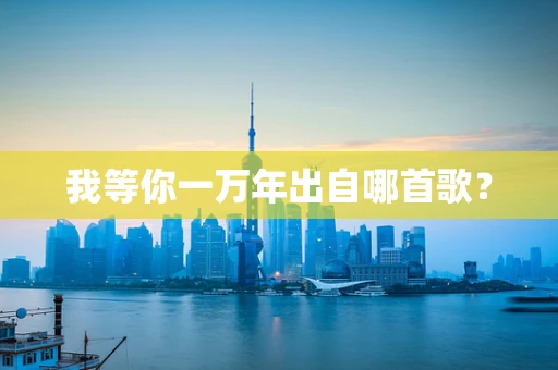 我等你一万年出自哪首歌？