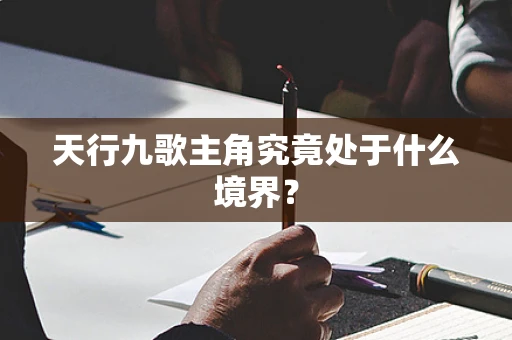 天行九歌主角究竟处于什么境界？