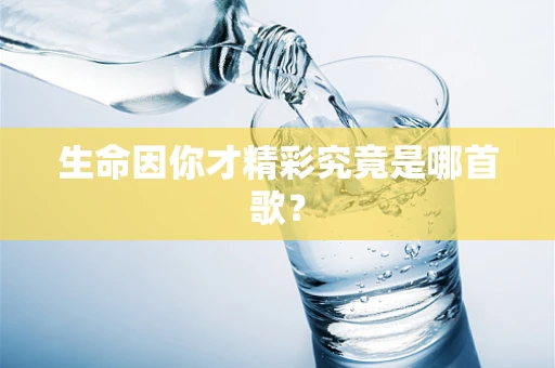 生命因你才精彩究竟是哪首歌？