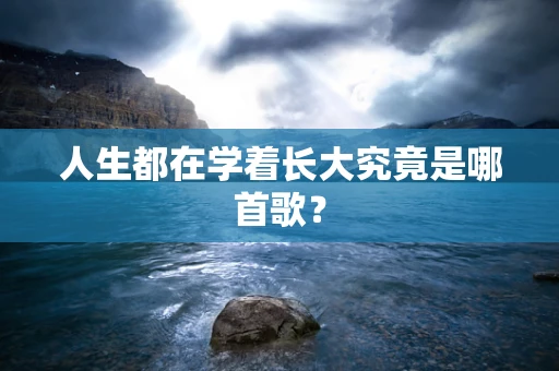 人生都在学着长大究竟是哪首歌？