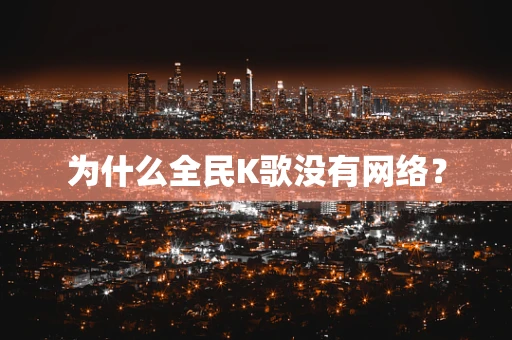 为什么全民K歌没有网络？