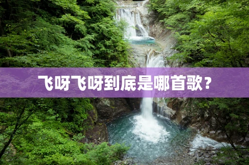 飞呀飞呀到底是哪首歌？