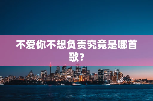 不爱你不想负责究竟是哪首歌？
