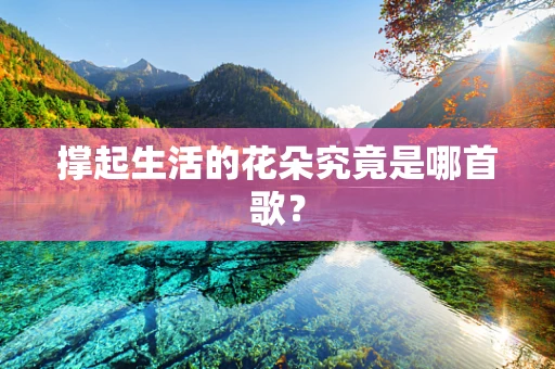 撑起生活的花朵究竟是哪首歌？